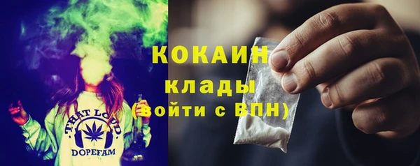 Альфа ПВП Бородино