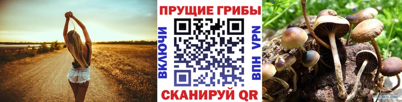 магазин    ссылка на мегу онион  Галлюциногенные грибы Magic Shrooms  Тайга 