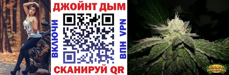 Каннабис Amnesia  Тайга 